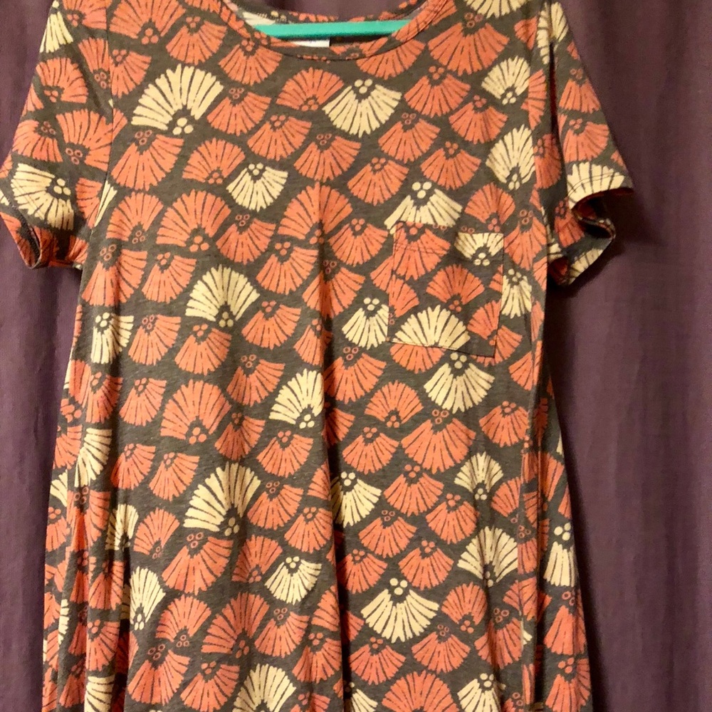 Lularoe Carly dress